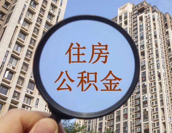 来宾退休后查不到公积金明细了吗（退休后公积金查询不到原因）
